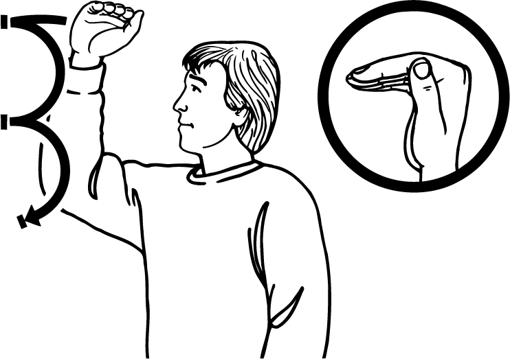 hierarchy-979-high_resolution.png - main