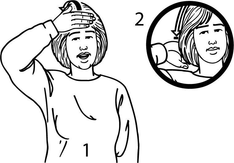 bald-987-high_resolution.png - main