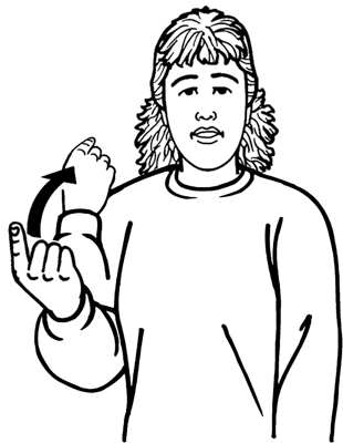 last-8117-high_resolution.png - main