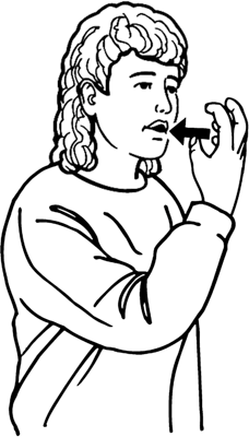 mask-8130-high_resolution.png - main