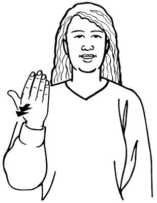 pepeha-8751-high_resolution.png - main