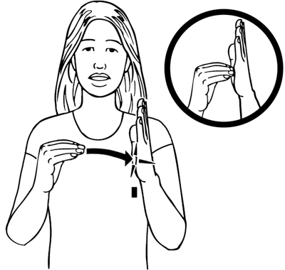 record-8167-high_resolution.png - main