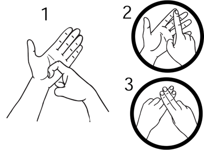 reference-8977-high_resolution.png - main