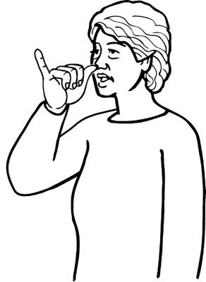 rhino-8171-high_resolution.png - main