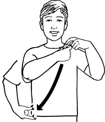 seatbelt-10238-high_resolution.png - main