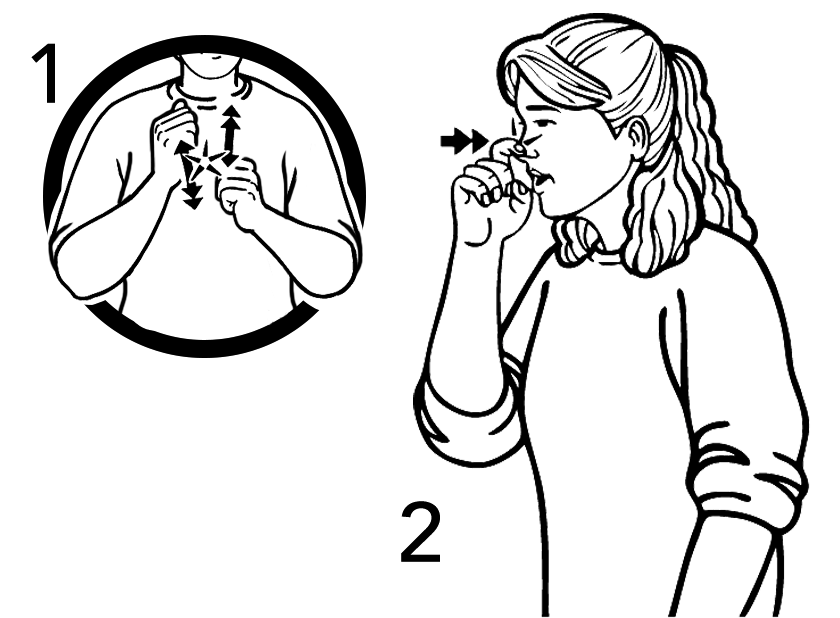 sibling-7189-high_resolution.png - main