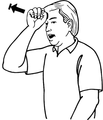 snapper-8180-high_resolution.png - main