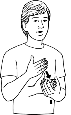 taco-8199-high_resolution.png - main