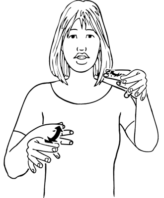 template-8204-high_resolution.png - main