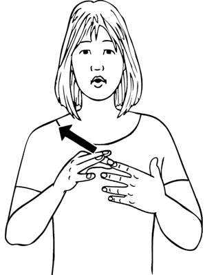 unique-8997-high_resolution.png - main