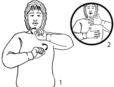 website-8223-high_resolution.png - main